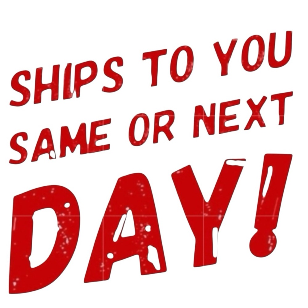 INC International Concepts white Flat Front Shorts‎ size 12 pull on - Picture 10 of 10